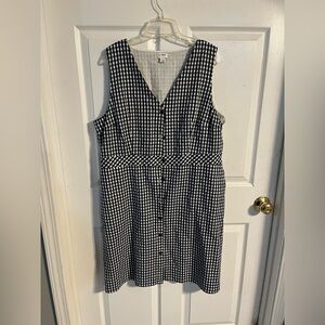 J CREW Blue and White Gingham Sleeveless Dress